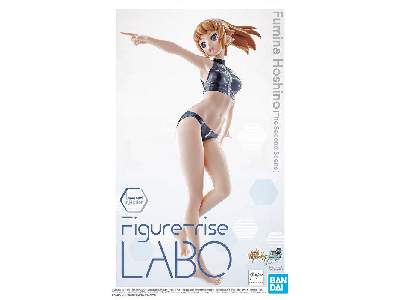 Labo Fumina Hoshino [the Second Scene] (Maq85434p) - image 1