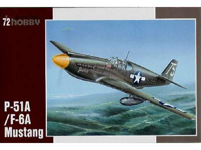 P-51/F-6A Mustang - image 1