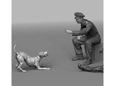 German Tank Officer Playing With Puppy - image 3