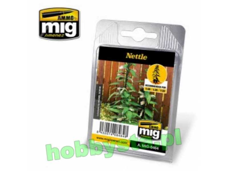 Nettle - image 1