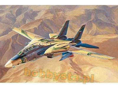 F-14a Tomcat - Iriaf - Persian Cat - image 1