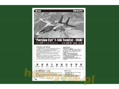 F-14a Tomcat - Iriaf - Persian Cat - image 5