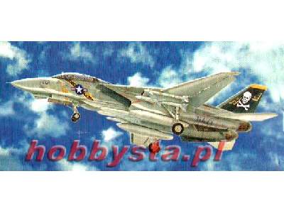 F-14A Tomcat MISSING DECALS - image 1