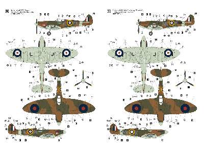 Supermarine Spitfire IIA w/Rotol Propeller - image 4