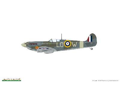 SPITFIRE STORY The Sweeps DUAL COMBO 1/48 - image 17