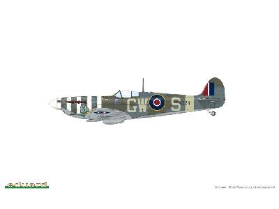 SPITFIRE STORY The Sweeps DUAL COMBO 1/48 - image 18