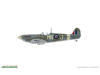 SPITFIRE STORY The Sweeps DUAL COMBO 1/48 - image 19