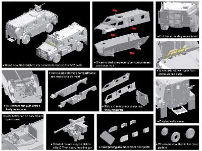 SAS Bushmaster - image 2