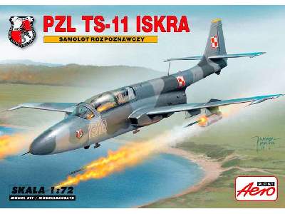 PZL TS-11 Iskra - reconnaissance plane - image 1