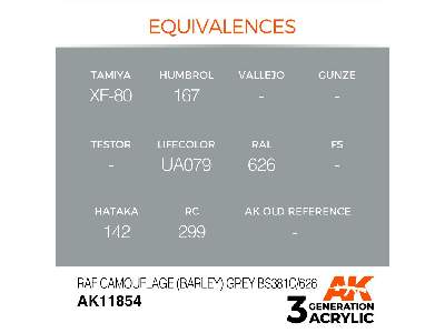 Ak 11854 Raf Camouflage (Barley) Grey Bs381c/626 - image 3