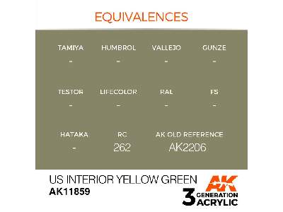 Ak 11859 Us Interior Yellow Green - image 3