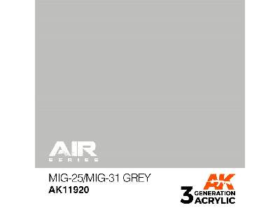 Ak 11920 Mig-25/Mig-31 Grey - image 1
