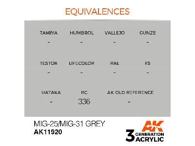 Ak 11920 Mig-25/Mig-31 Grey - image 3