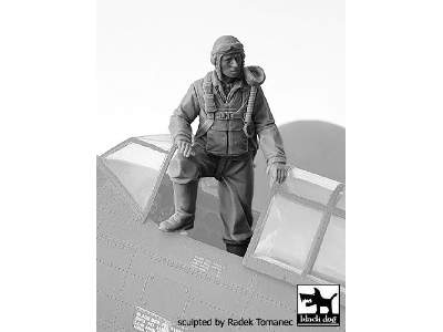 Usaaf Fighter Pilot 1940-45 N°1 - image 2