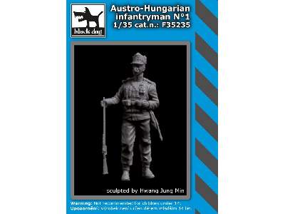 Austro - Hungarian Infantryman N°1 - image 1