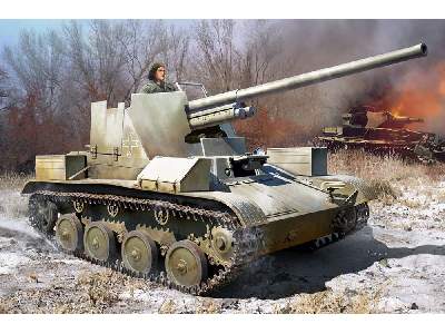 Romanian Tacam T-60 - image 1