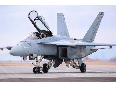 F/a-18f Super Hornet - image 1