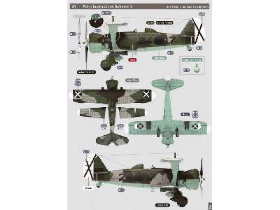 Henschel Hs 123 A1 - image 36