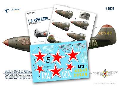 G.A. Rechkalov-aircraft Air Aces (&#1056;-39, &#1048;-153) - image 1