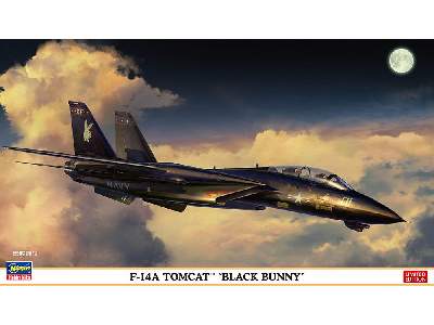 F-14a Tomcat 'black Bunny' - image 1