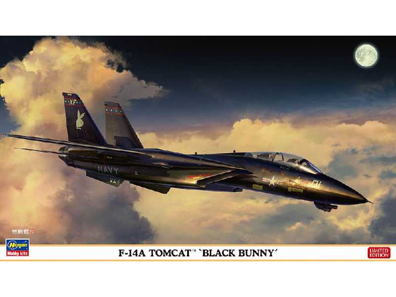 F-14a Tomcat 'black Bunny' - image 1