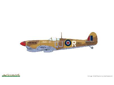 SPITFIRE STORY: Southern Star DUAL COMBO 1/48 - image 24