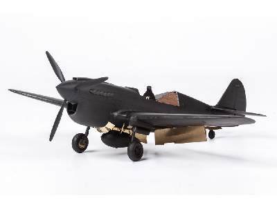 P-40N 1/48 - Academy - image 18