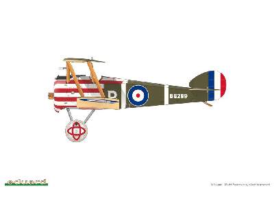 Sopwith F.1 Camel (Clerget) 1/48 - image 5