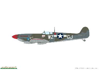 Spitfire Mk. IXc 1/48 - image 16