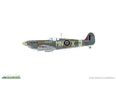 Spitfire Mk. Vb late 1/48 - image 16