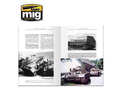 Panzer Dna (English) - image 5