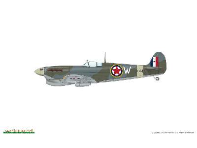 SPITFIRE STORY: Per Aspera ad Astra DUAL COMBO 1/48 - image 8