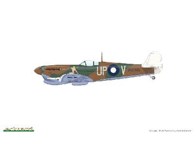 SPITFIRE STORY: Per Aspera ad Astra DUAL COMBO 1/48 - image 14