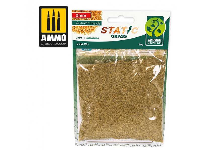 Static Grass - Autumn Fields - 2mm - image 1 Static Grass - Autumn Fields - 2mm - image 1