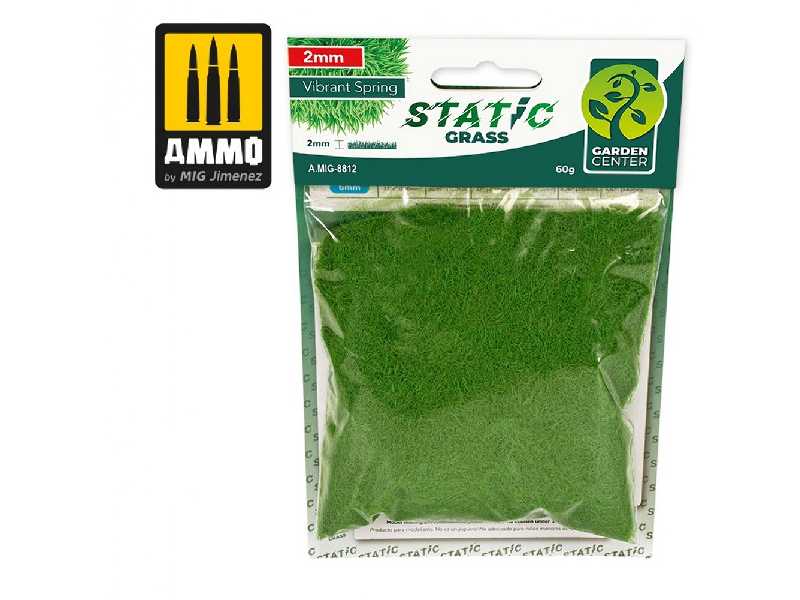 Static Grass - Vibrant Spring - 2mm - image 1