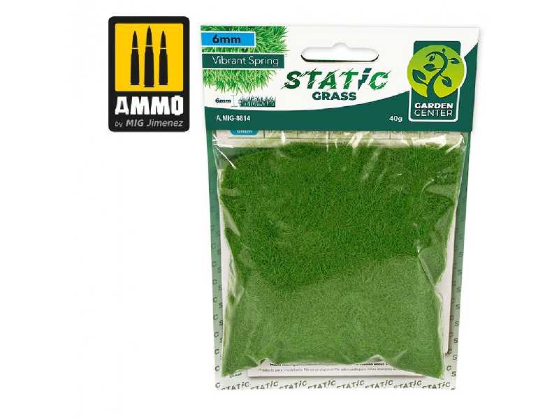 Static Grass - Vibrant Spring - 6mm - image 1