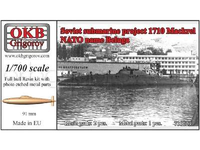 Soviet Submarine Project 1710 Mackrel (Nato Name Beluga) - image 1
