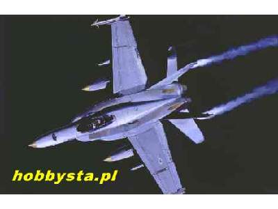F-18A Hornet - image 1