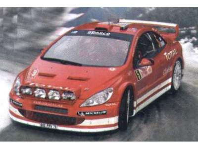Peugot 307 WRC'04 - image 1