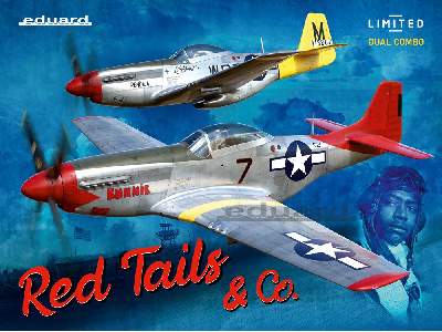 P-51D Mustang - Red Tails & Co. DUAL COMBO - image 2