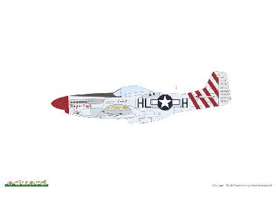 P-51D Mustang - Red Tails & Co. DUAL COMBO - image 3