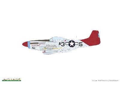 P-51D Mustang - Red Tails & Co. DUAL COMBO - image 4
