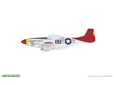 P-51D Mustang - Red Tails & Co. DUAL COMBO - image 6