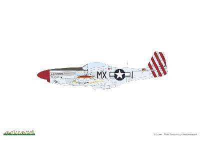 P-51D Mustang - Red Tails & Co. DUAL COMBO - image 7