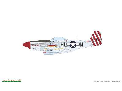 P-51D Mustang - Red Tails & Co. DUAL COMBO - image 8