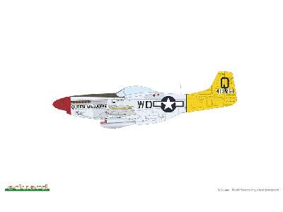 P-51D Mustang - Red Tails & Co. DUAL COMBO - image 9