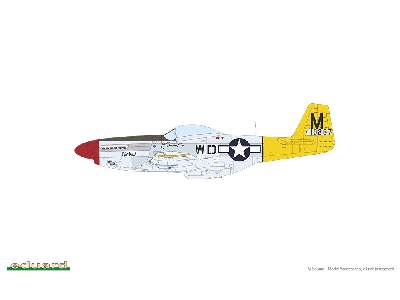 P-51D Mustang - Red Tails & Co. DUAL COMBO - image 11