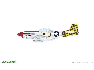 P-51D Mustang - Red Tails & Co. DUAL COMBO - image 12