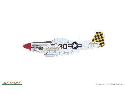 P-51D Mustang - Red Tails & Co. DUAL COMBO - image 13
