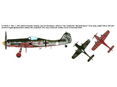 Platzschutzstaffel JV44 2 in 1: Fw 190D-9 and D-11 - image 5